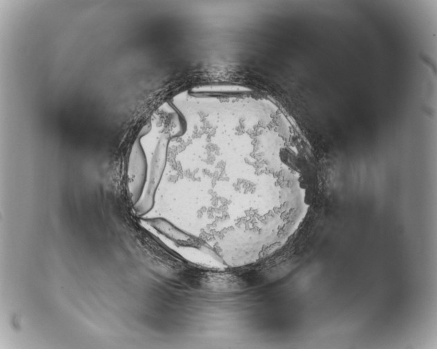 X0000103910605200810171707