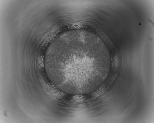 X0000103910606200810171707