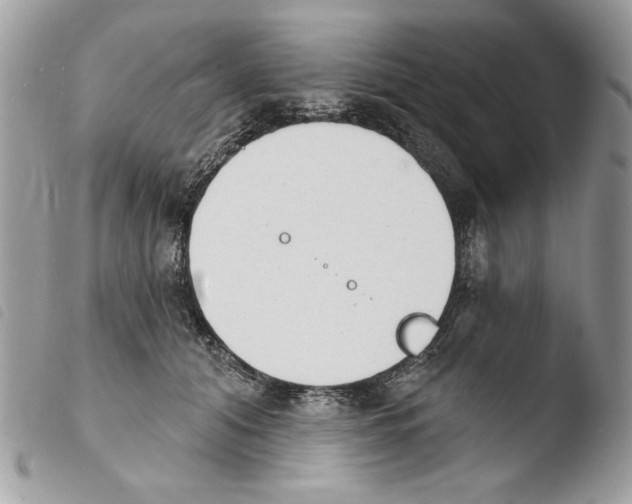 X0000103910608200810171707