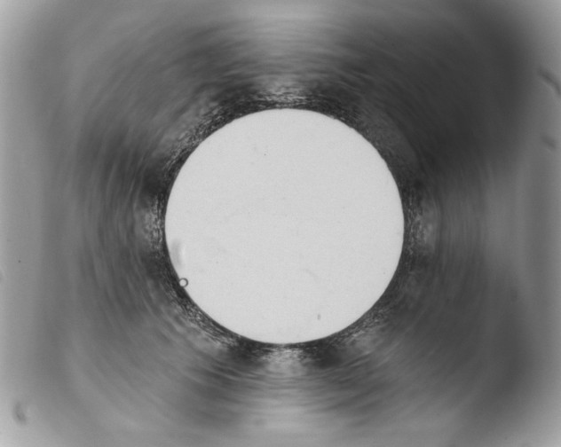X0000103910609200810171707