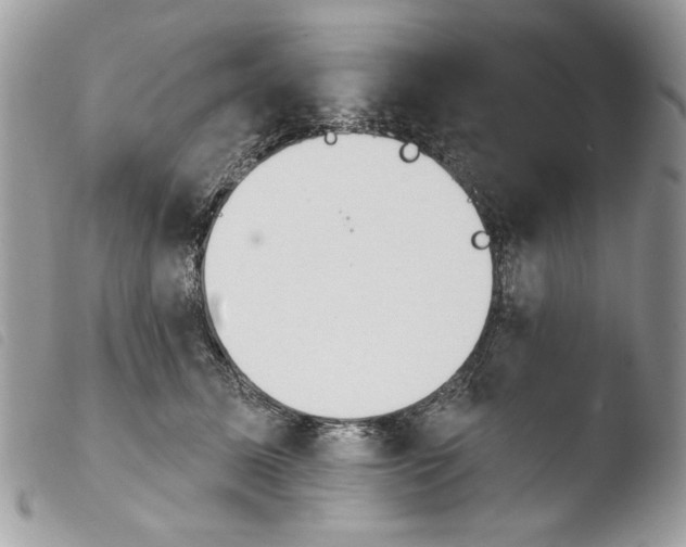 X0000103910611200810171707
