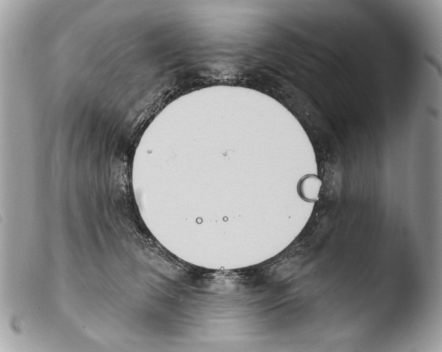 X0000103910612200810171706