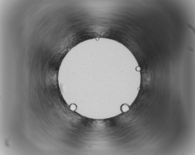 X0000103910613200810171706