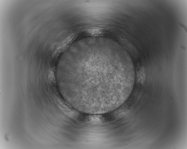 X0000103910618200810171706