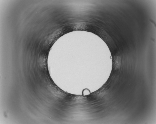 X0000103910619200810171706