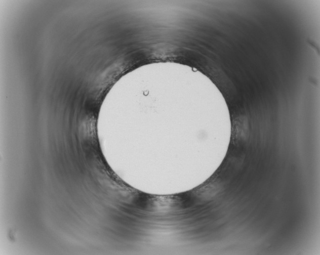 X0000103910623200810171706