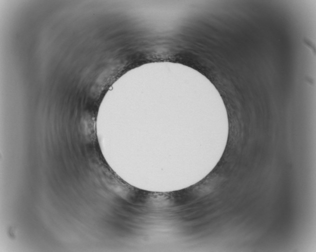 X0000103910624200810171706