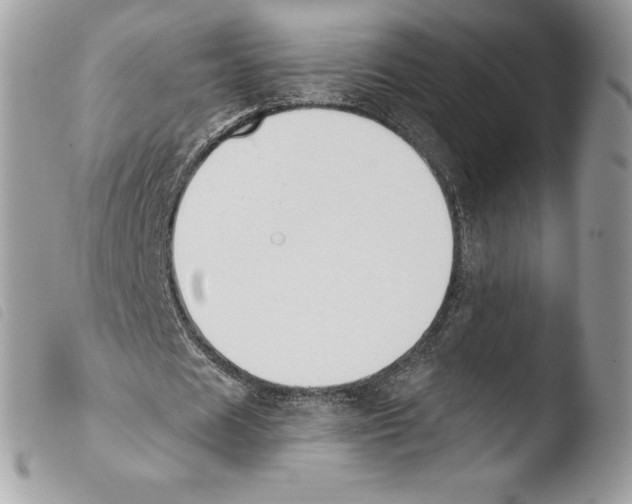 X0000103910625200810171706