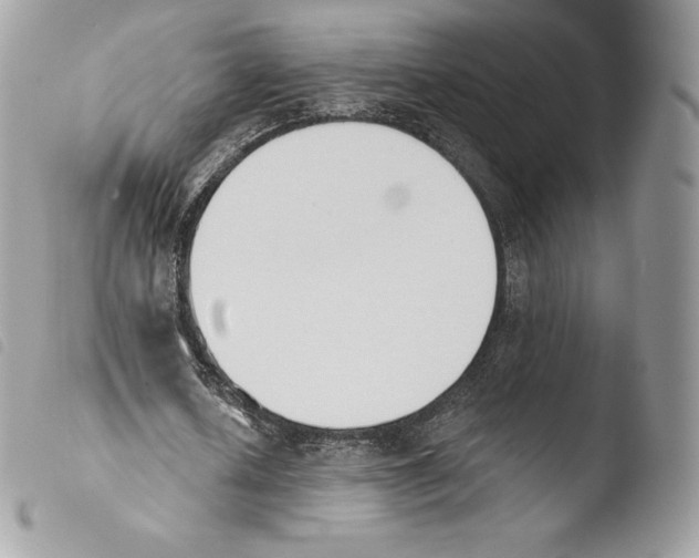 X0000103910626200810171706