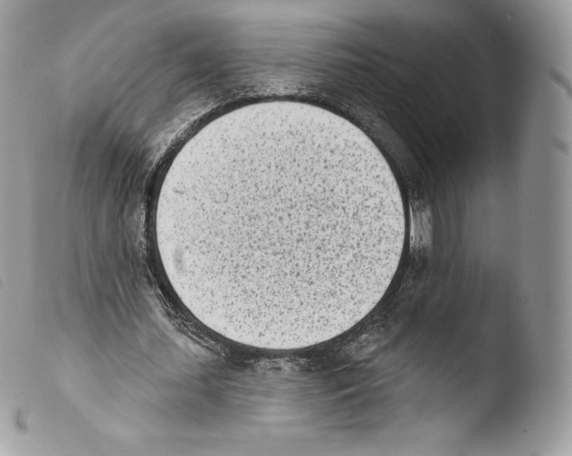 X0000103910627200810171706