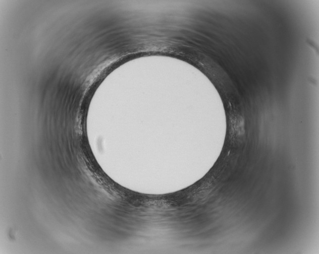 X0000103910628200810171706