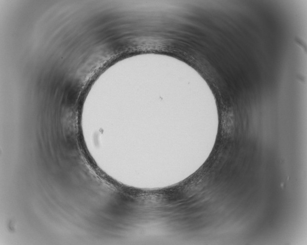 X0000103910629200810171706