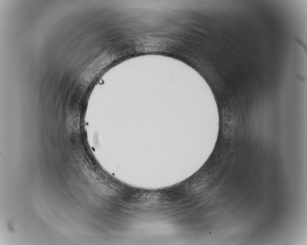 X0000103910631200810171706