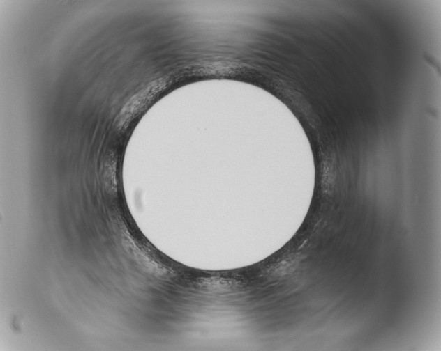 X0000103910633200810171706