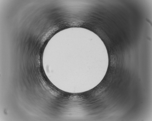 X0000103910634200810171706