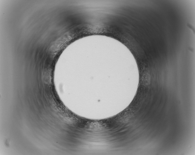 X0000103910635200810171706