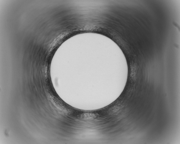 X0000103910636200810171706