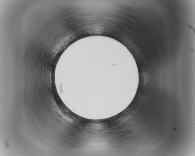 X0000103910638200810171706