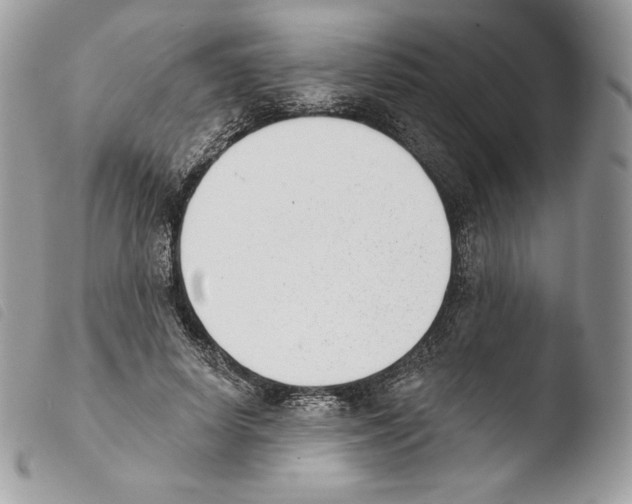 X0000103910642200810171706
