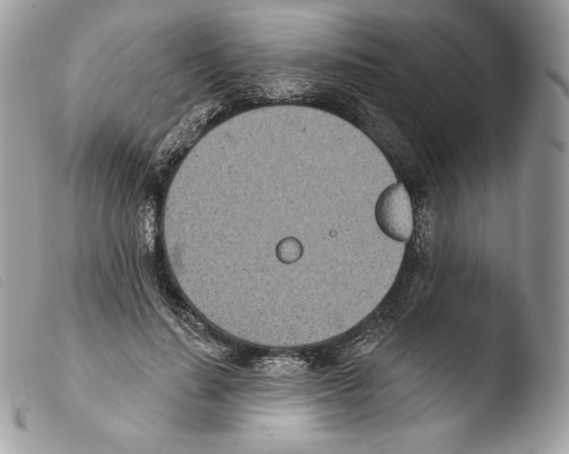 X0000103910644200810171706