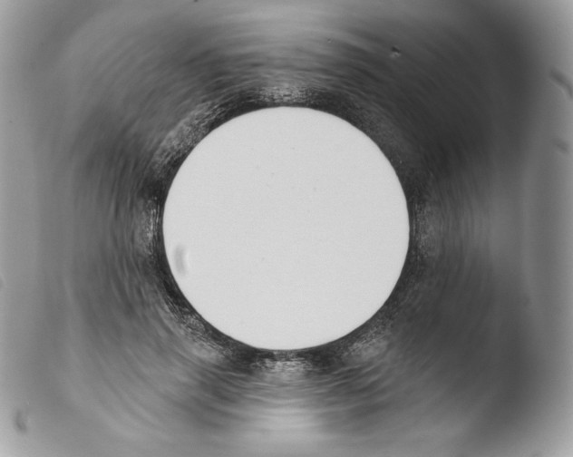 X0000103910645200810171706