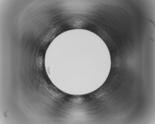 X0000103910646200810171706