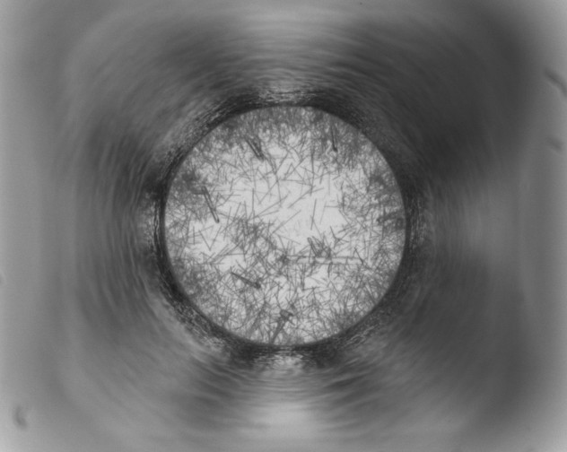 X0000103910647200810171706