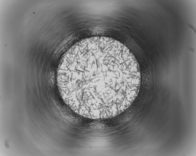 X0000103910648200810171706