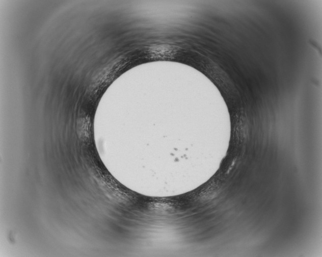 X0000103910649200810171706