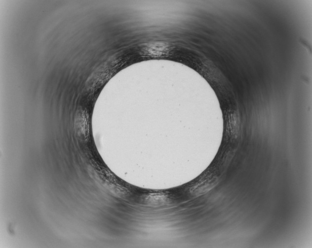 X0000103910651200810171706