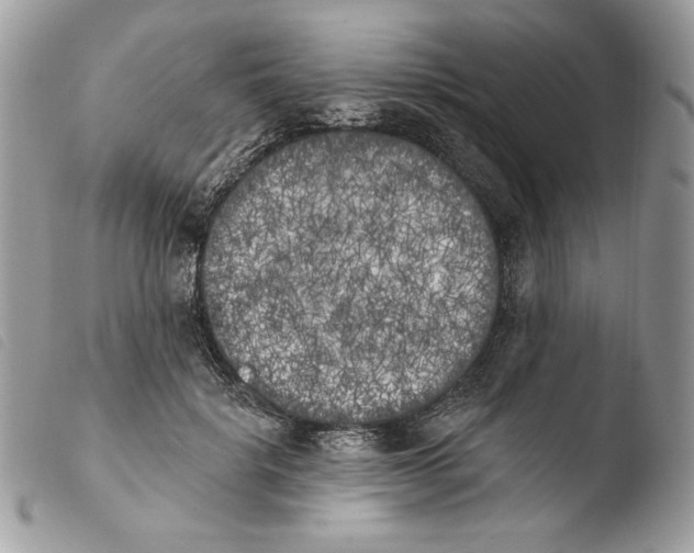 X0000103910652200810171706