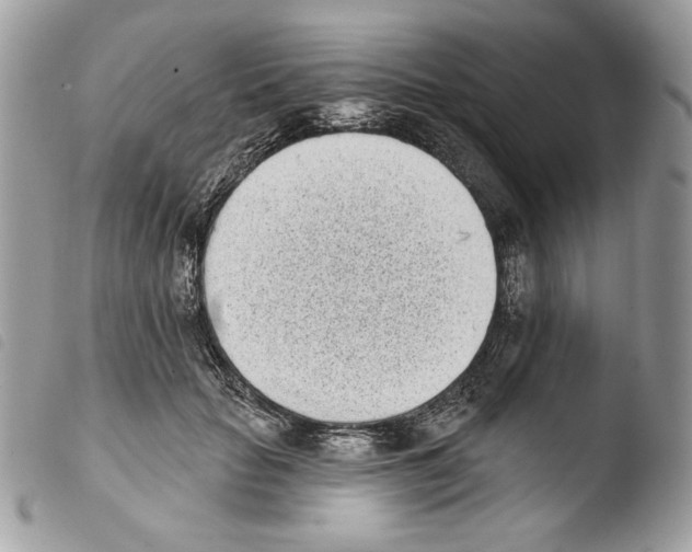 X0000103910653200810171706
