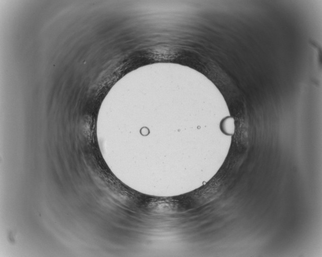X0000103910655200810171706