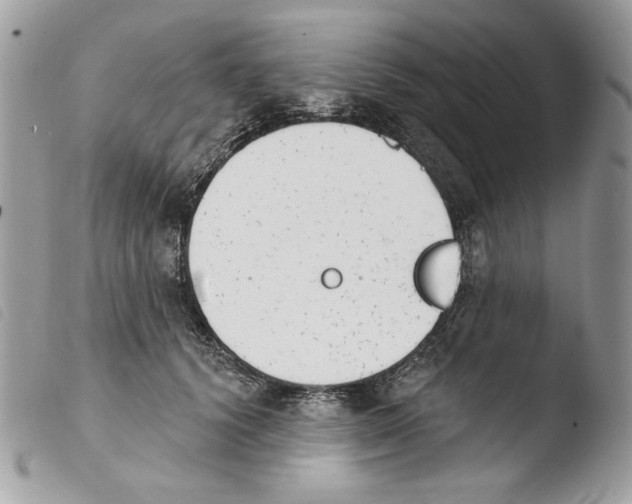 X0000103910656200810171706