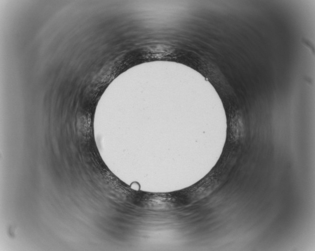 X0000103910657200810171706