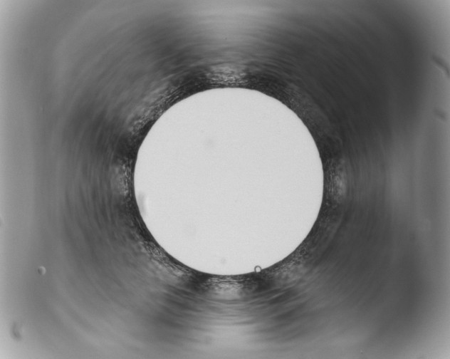 X0000103910658200810171706