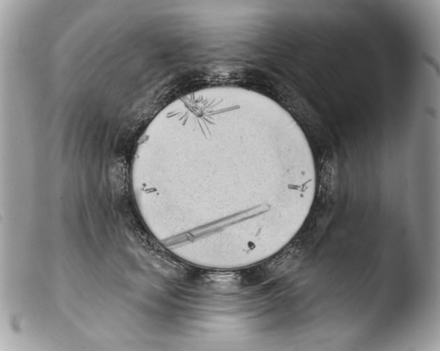 X0000103910659200810171706