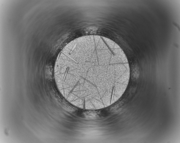 X0000103910661200810171706