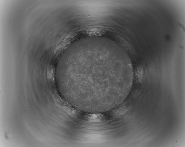 X0000103910663200810171706