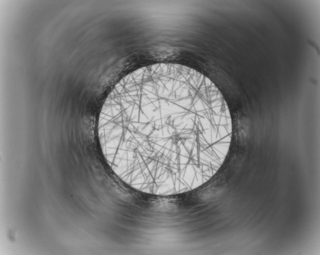 X0000103910664200810171706
