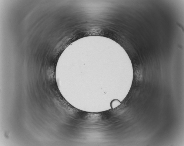 X0000103910665200810171706