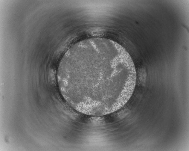 X0000103910667200810171706
