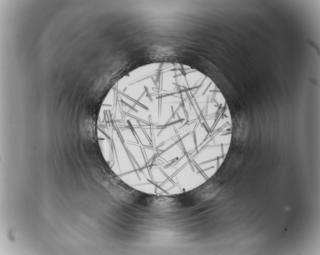 X0000103910669200810171706