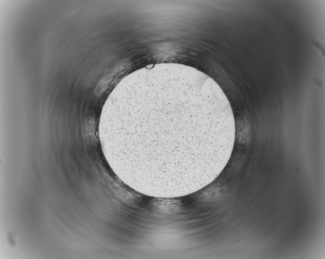 X0000103910670200810171706