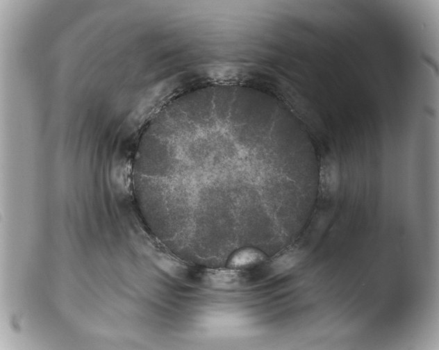 X0000103910671200810171706
