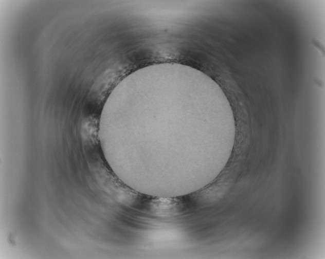 X0000103910672200810171706