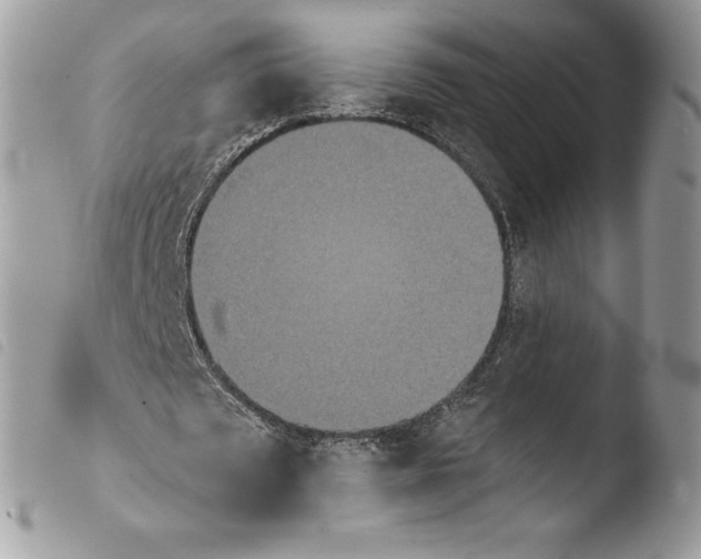 X0000103910673200810171706
