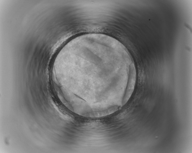 X0000103910674200810171706