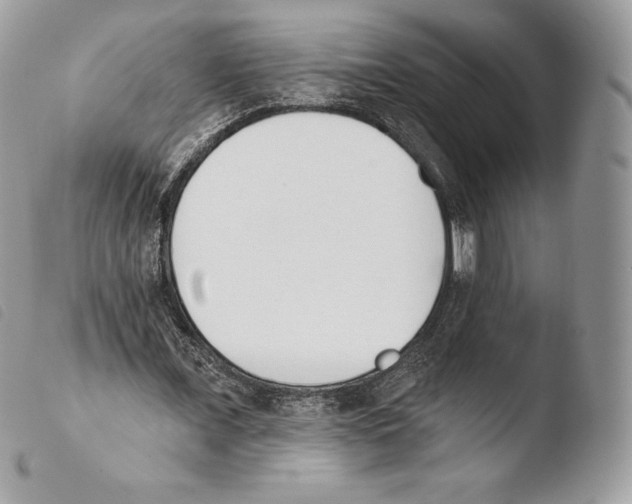 X0000103910675200810171706