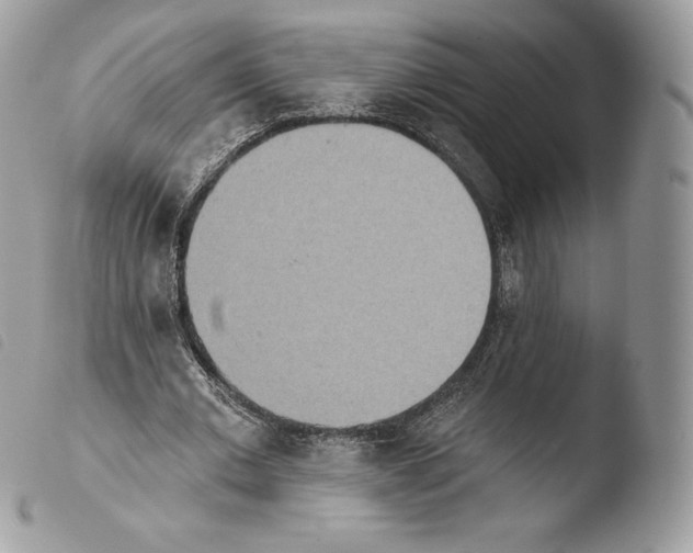 X0000103910677200810171706
